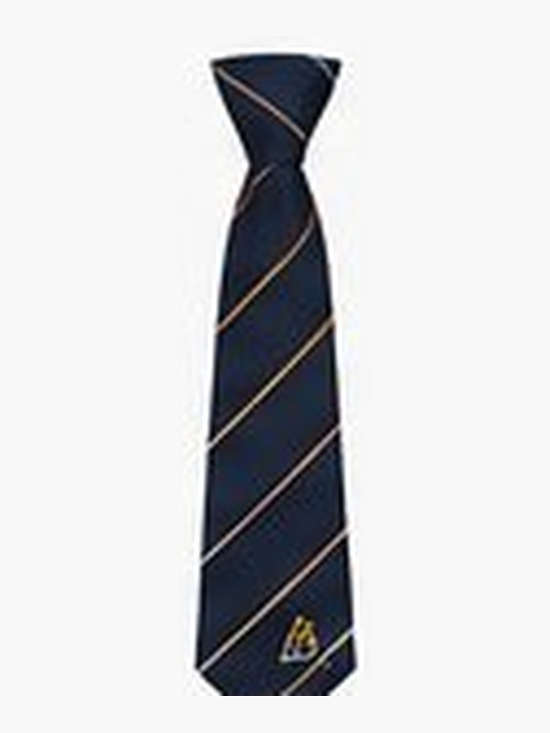 School Tie